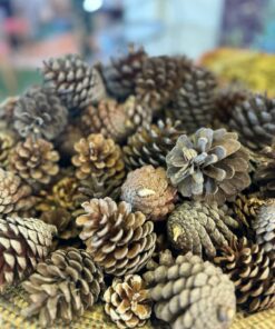 🎄Christmas Wreath-Making Workshop – 29th November ✨ 23 Christmas_WreathMaking_Workshop_Featured_Image11
