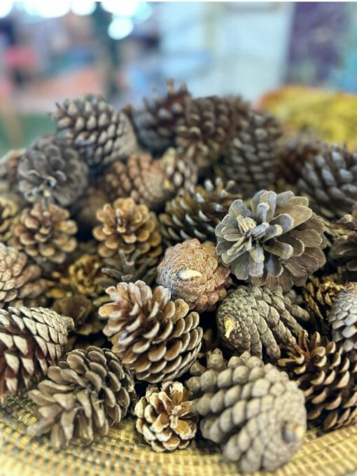 Christmas_WreathMaking_Workshop_Featured_Image11