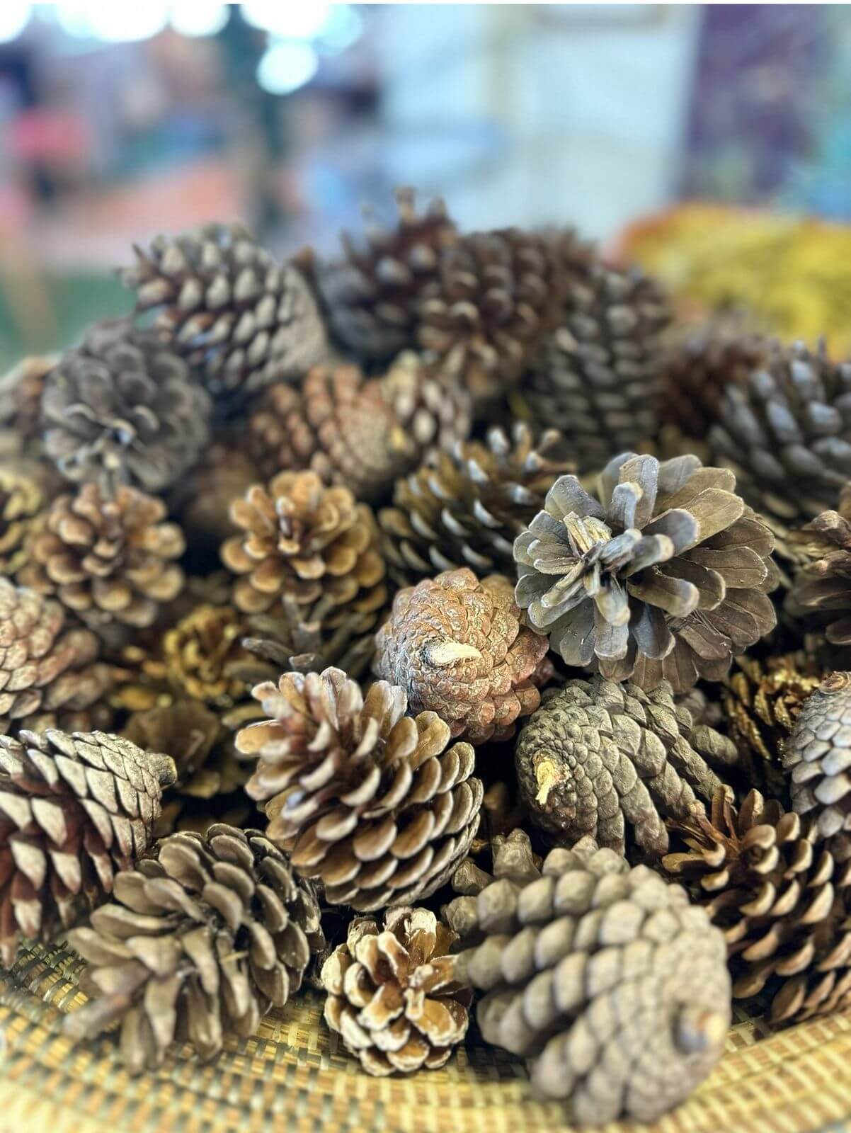 🎄Christmas Wreath-Making Workshop – 29th November ✨ 12 Christmas_WreathMaking_Workshop_Featured_Image11