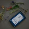 Flower Pressing Workshop - Image 3