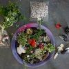 Magic Garden