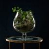 Terrariums Workshop - Image 2