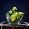 Terrariums Workshop - Image 6