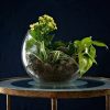 Terrariums Workshop - Image 5