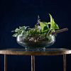Terrariums Workshop - Image 4