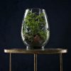 Terrariums Workshop - Image 3
