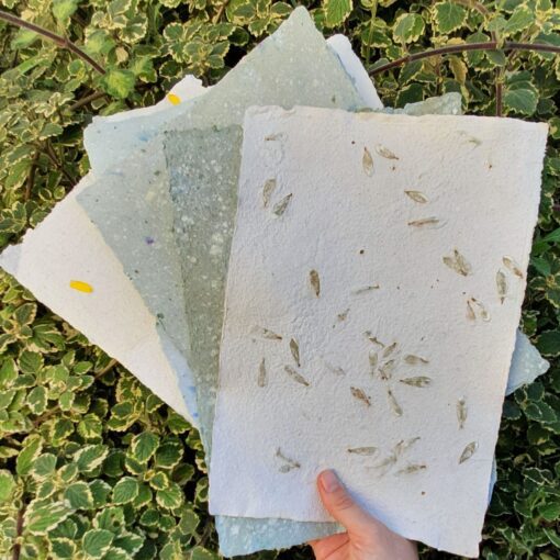 Botanical Paper Making workshop featured image 2