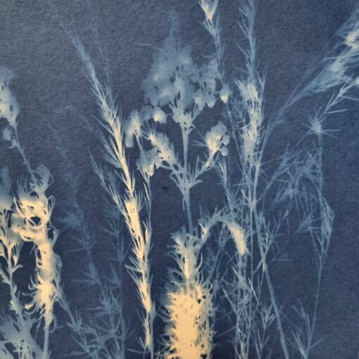 Cyanotype Workshop Flower Cafe example 2