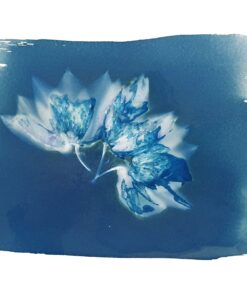 💙 For the Love of Blue: Cyanotype Workshop 11 Cyanotype Workshop Flower Cafe example 4
