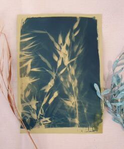 💙 For the Love of Blue: Cyanotype Workshop 10 Cyanotype Workshop Flower Cafe example 5