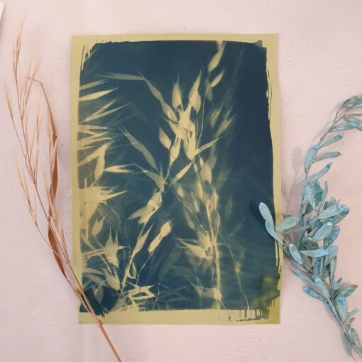 Cyanotype Workshop Flower Cafe example 5