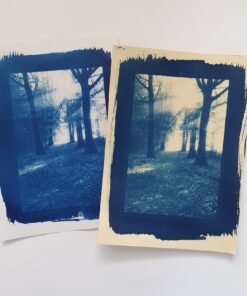 💙 For the Love of Blue: Cyanotype Workshop 9 Cyanotype Workshop Flower Cafe example 6