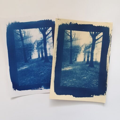 Cyanotype Workshop Flower Cafe example 6