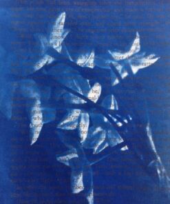 💙 For the Love of Blue: Cyanotype Workshop 8 Cyanotype Workshop Flower Cafe example1