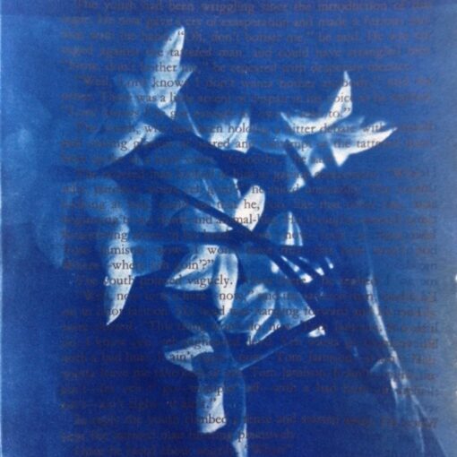 Cyanotype Workshop Flower Cafe example1