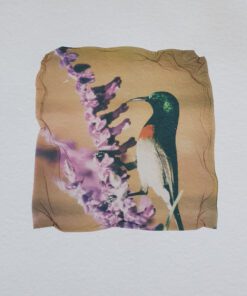 Polaroid Emulsion Lift Workshop image 2