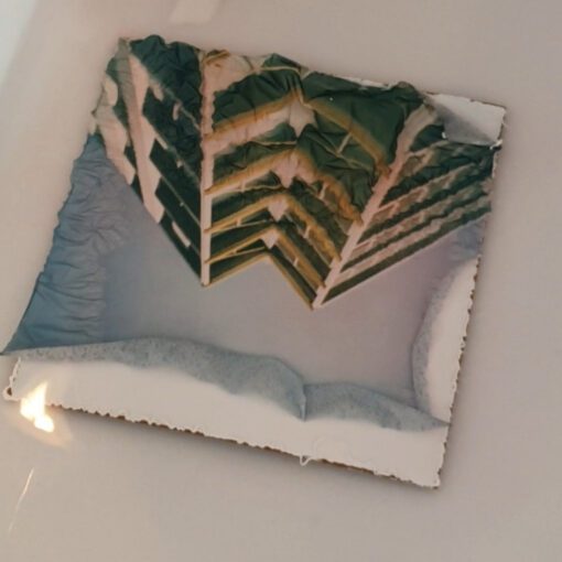 Polaroid Emulsion Lift Workshop image 5