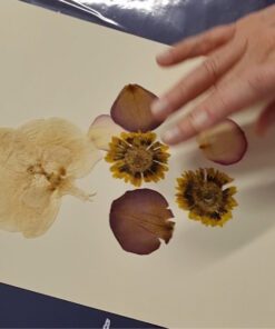 Mixed Media Floral Collage Workshop with Chloe image 2